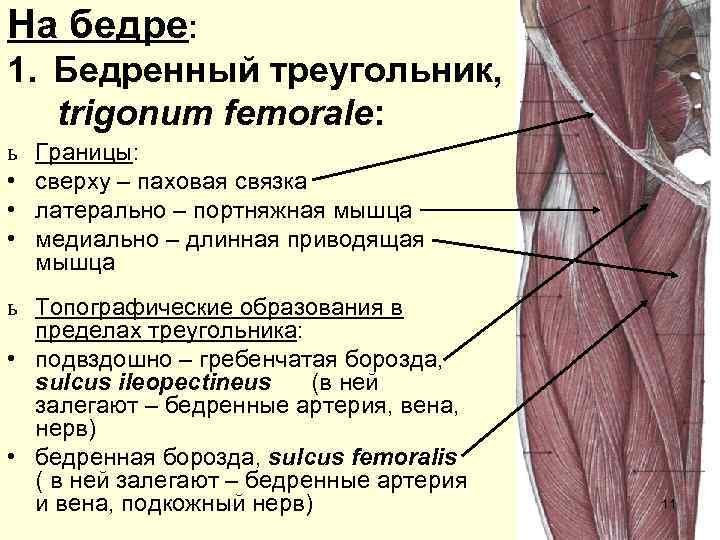 _ _.jpg