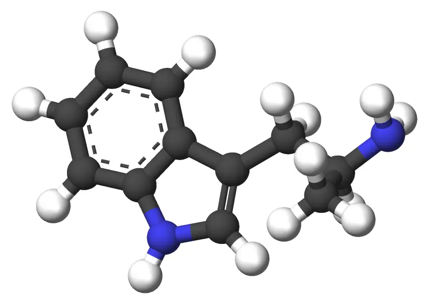 Alpha-Methyltryptamine-3d-sticks.webp