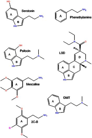 classic psychedelics.jpg