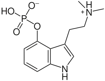 Экстракция псилоцибина и псилоцина из грибов.webp