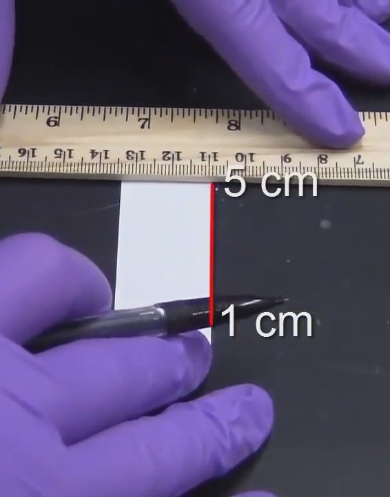 Finish hydra at a distance of 5 cm.jpg