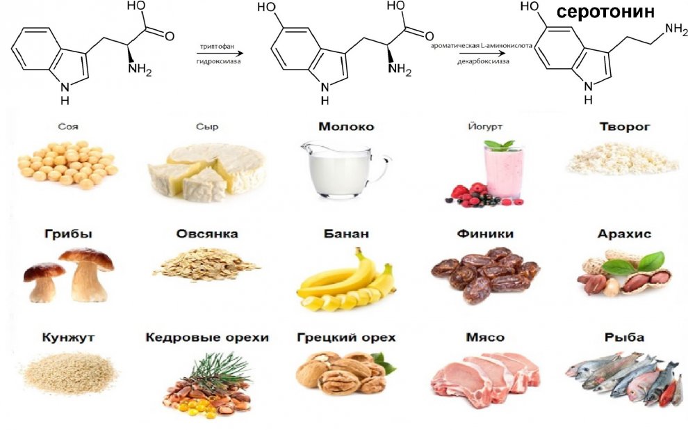 Hydra 5-Hydroxytryptophan 5-HTP.jpg