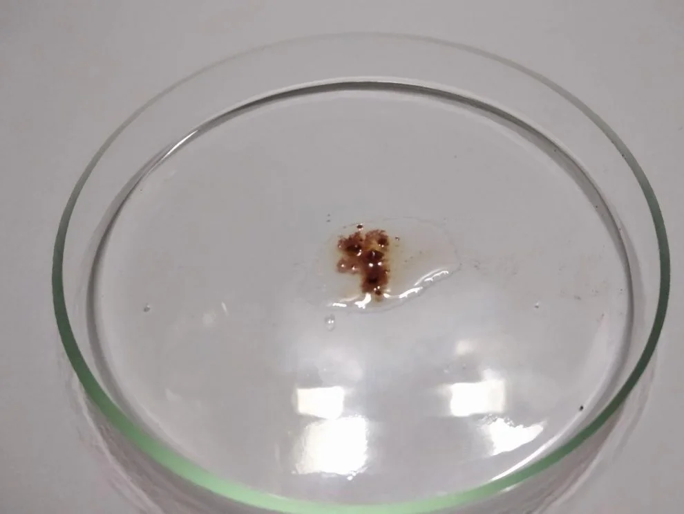 Hydra amphetamine substitution 2.jpg