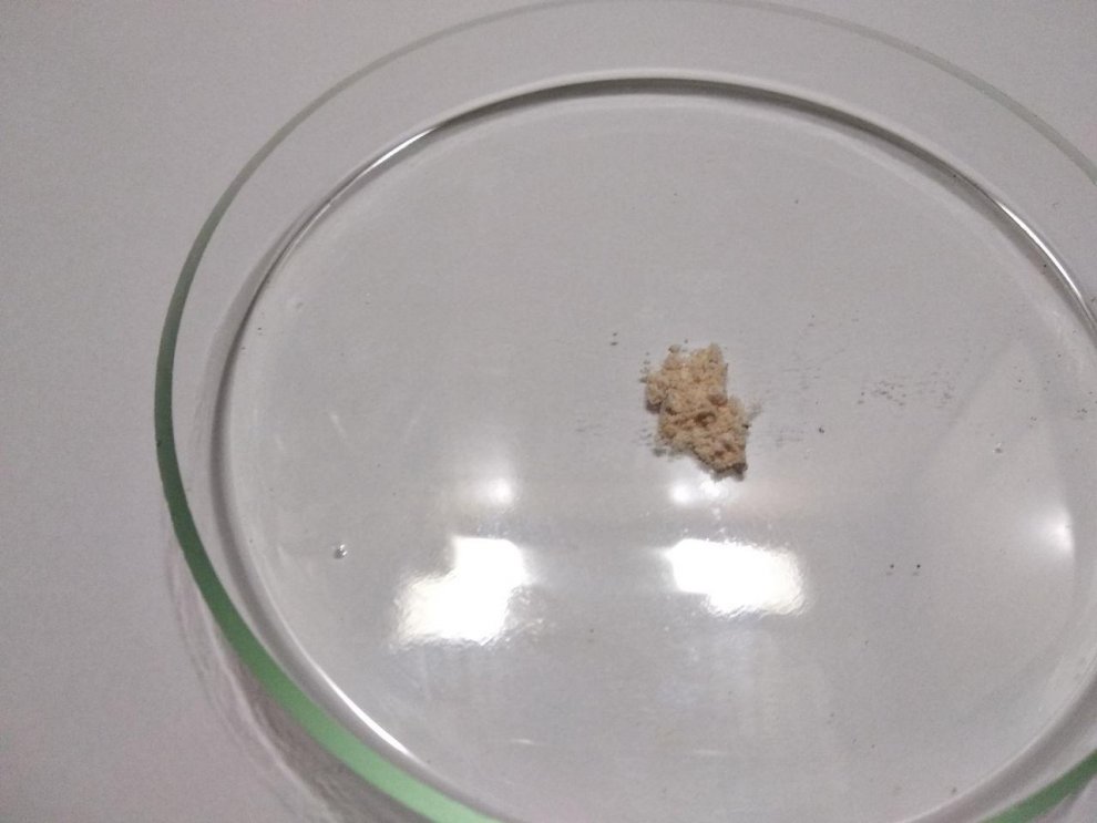 Hydra amphetamine substitution.jpg