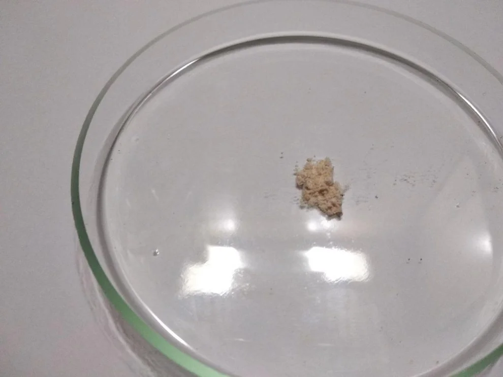 Hydra amphetamine substitution.jpg
