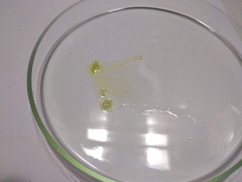 Hydra by diluting amphetamine with caffeine 3.jpg