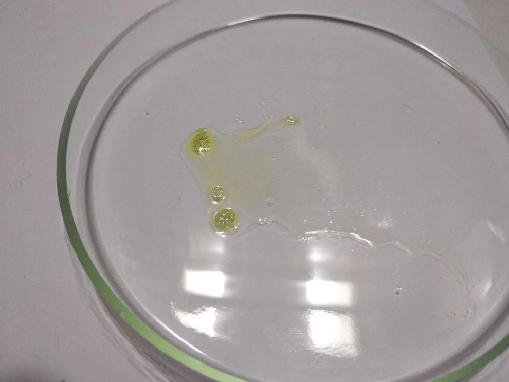 Hydra by diluting amphetamine with caffeine 3.jpg