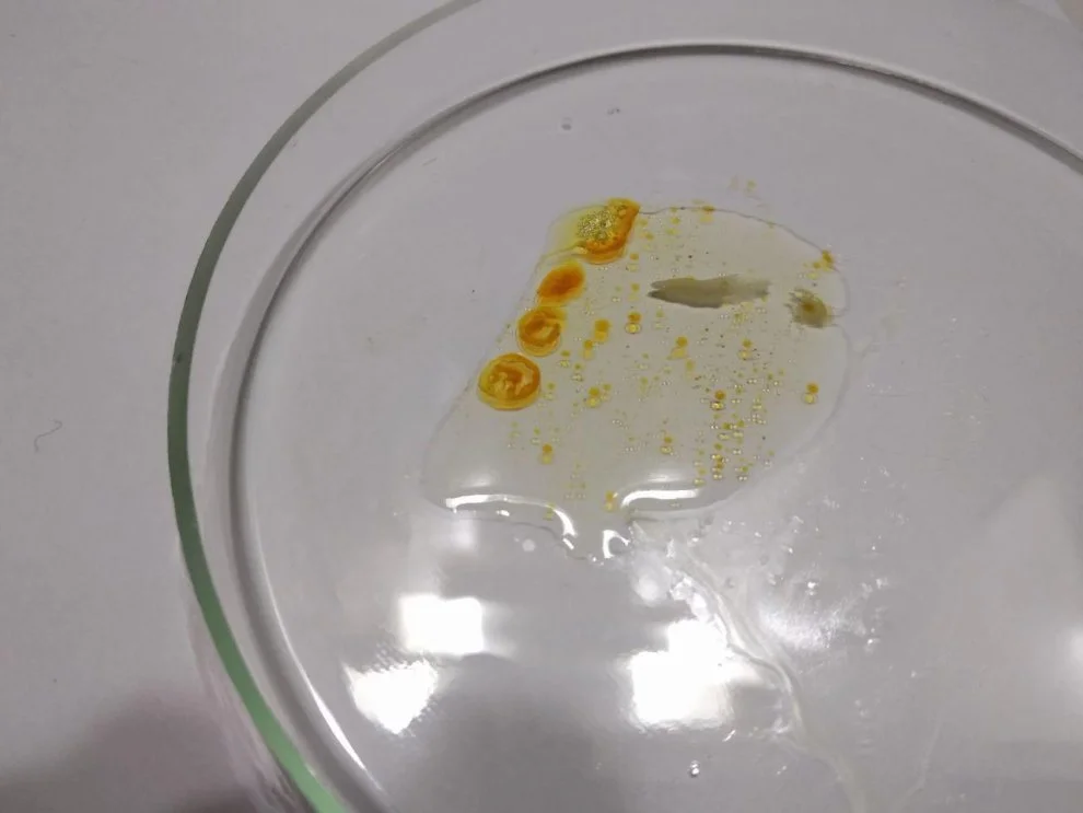 Hydra by diluting amphetamine with caffeine 4.jpg