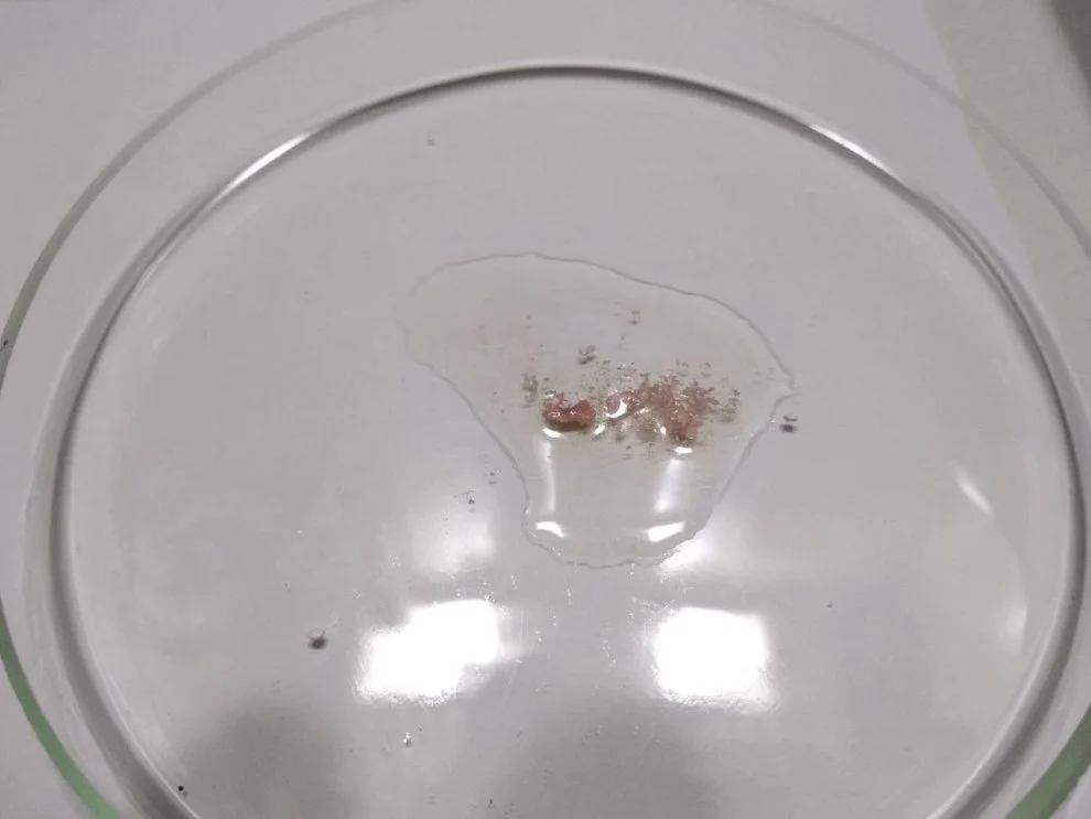 Hydra case with pure amphetamine 2.jpg