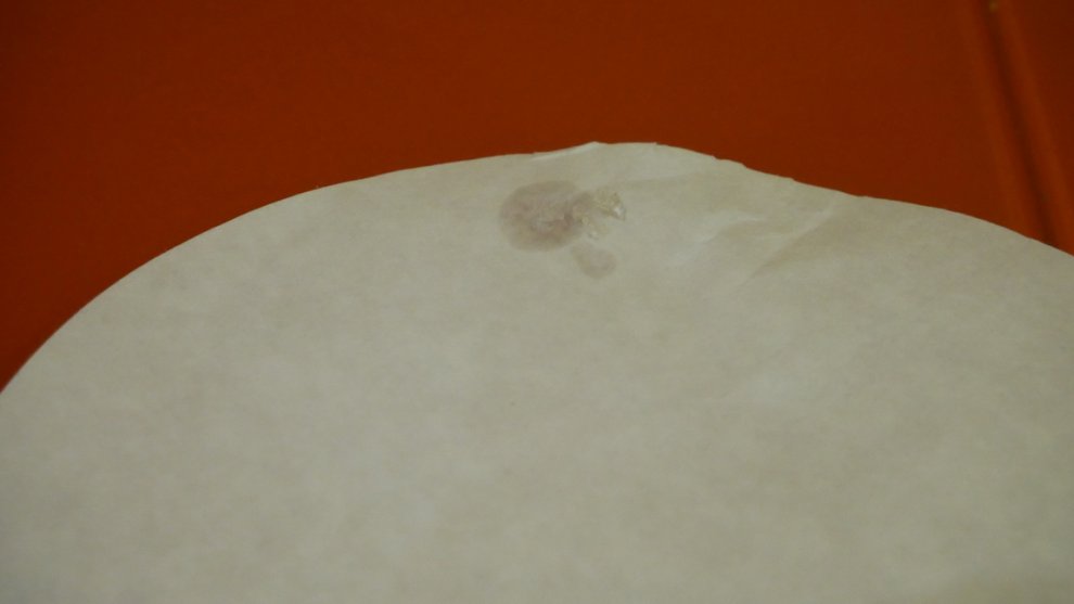 Hydra contains colloidal silicon dioxide 2.jpg
