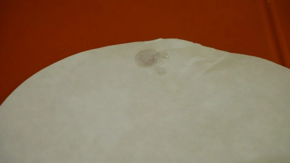 Hydra contains colloidal silicon dioxide 2.jpg