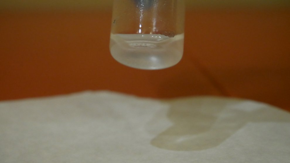 Hydra contains colloidal silicon dioxide.jpg