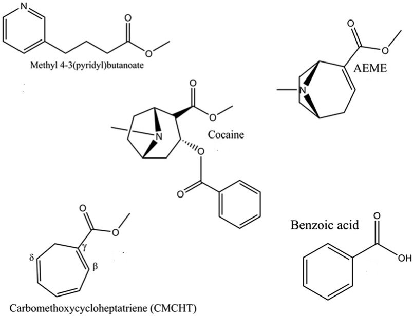 Hydra Crack pyrolysis products.jpg