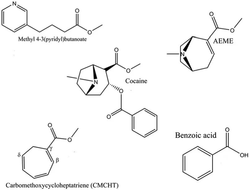 Hydra Crack pyrolysis products.webp