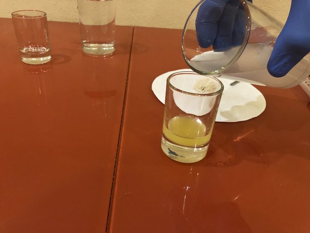 Hydra Cured by recrystallization.jpg
