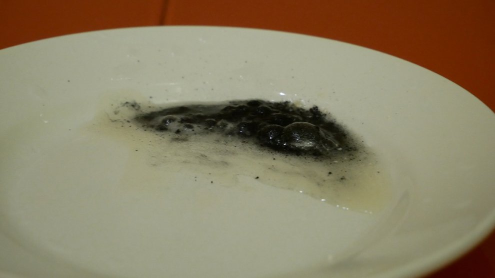 Hydra drop of concentrated sulfuric acid b.jpg