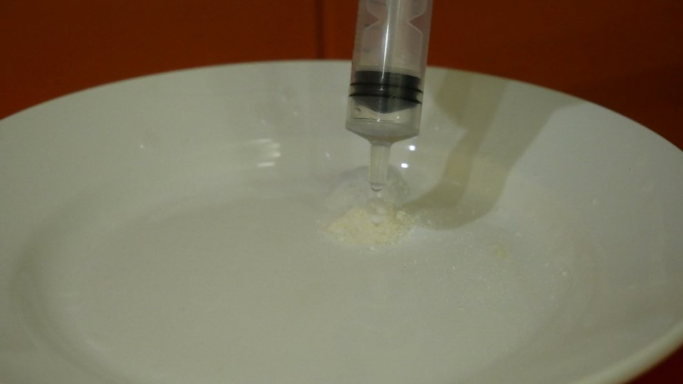 Hydra drop of concentrated sulfuric acid.jpg
