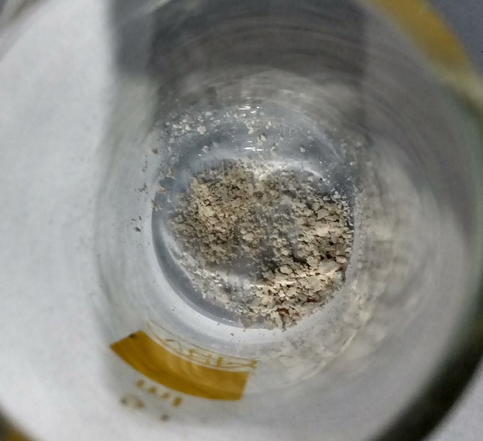 Hydra experiment with a-PVP free mephedrone 2.jpg