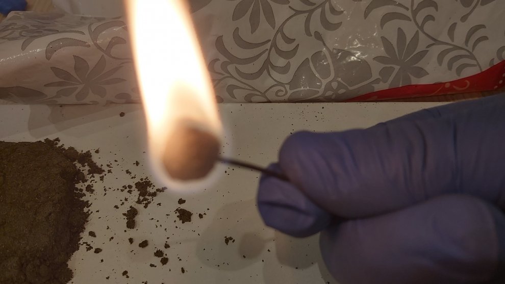 Hydra gishish burns on the needle.jpg