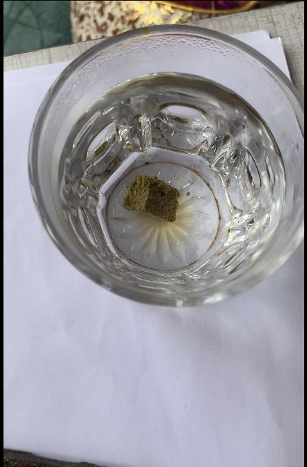 Hydra gishish staining in water.jpg
