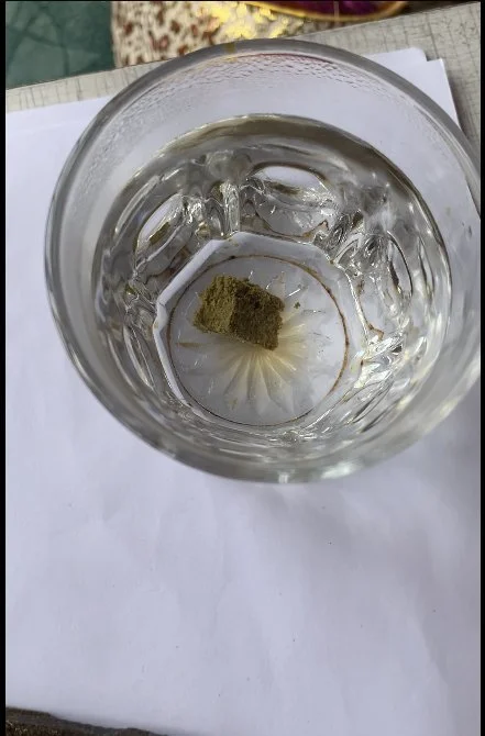 Hydra gishish staining in water.webp