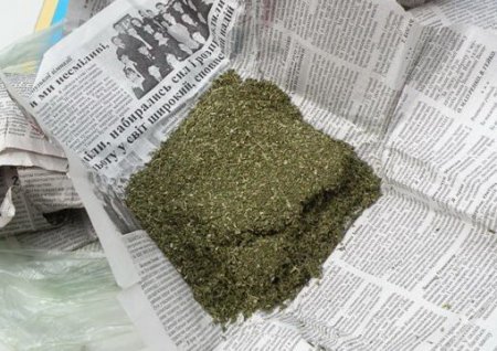 Hydra glass of regular marijuana.jpg