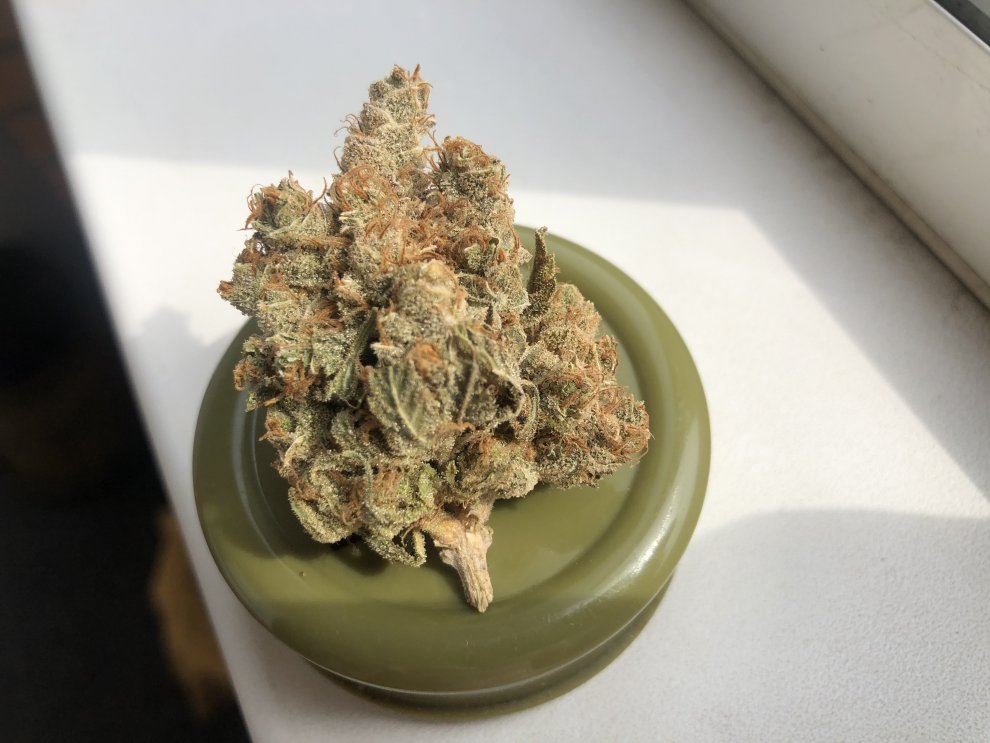 Hydra Grind the cone with a grinder.jpg