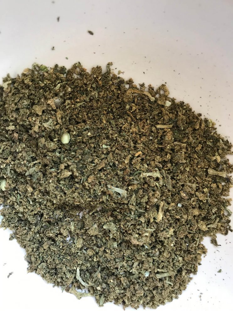 Hydra  hydraclubb  _ _ _ _ Blueberry.jpg