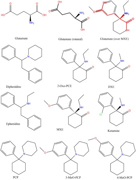 Hydra  hydraclubb _.jpg