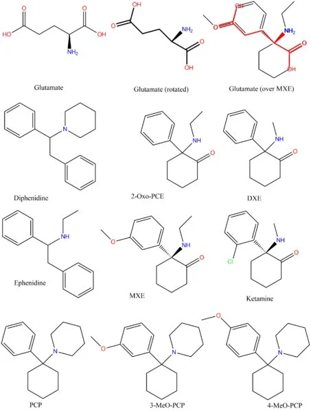 Hydra  hydraclubb _.webp