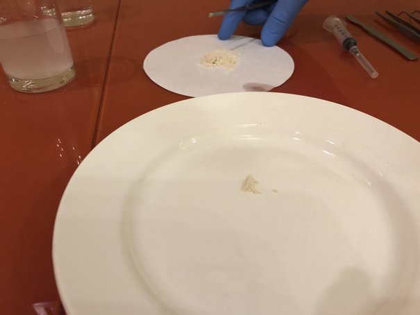 Hydra Iso-mephedrone.jpg