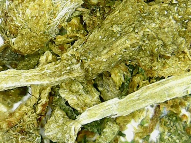Hydra marijuana foliage.webp