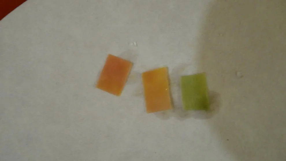 Hydra measure the pH of a solution with a universal indicator 4.jpg