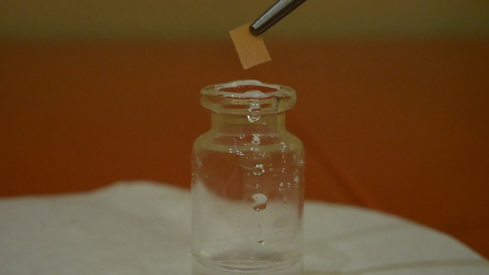 Hydra measure the pH of a solution with a universal indicator.jpg