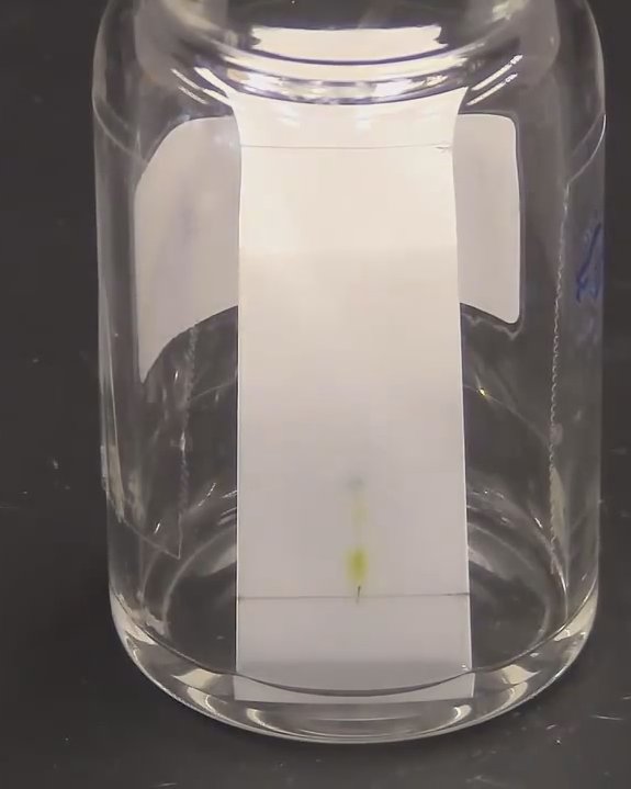 Hydra Place the plate vertically in a glass with eluent 2.jpg