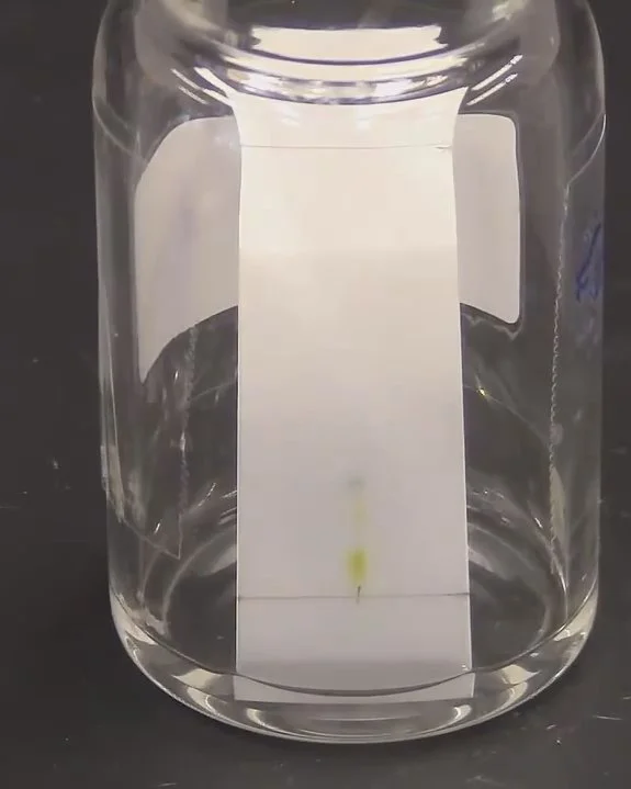 Hydra Place the plate vertically in a glass with eluent 2.jpg