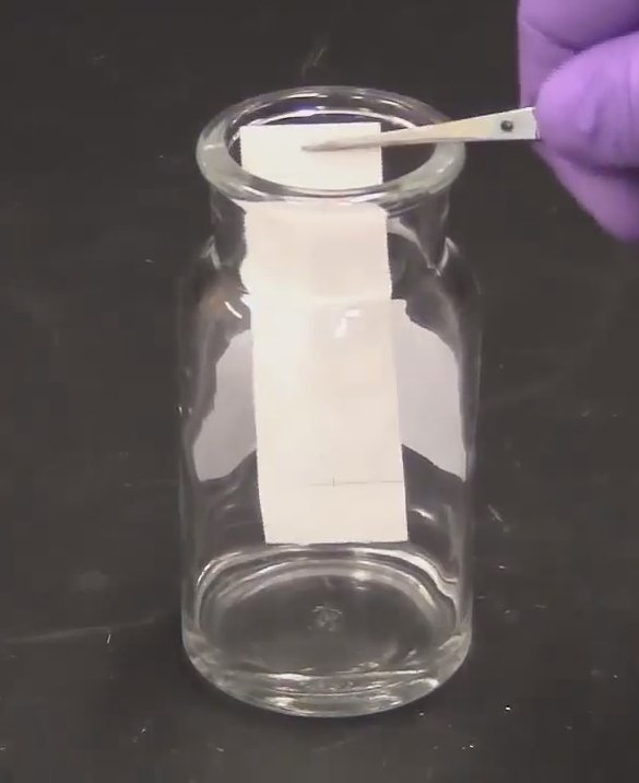Hydra Place the plate vertically in a glass with eluent.jpg