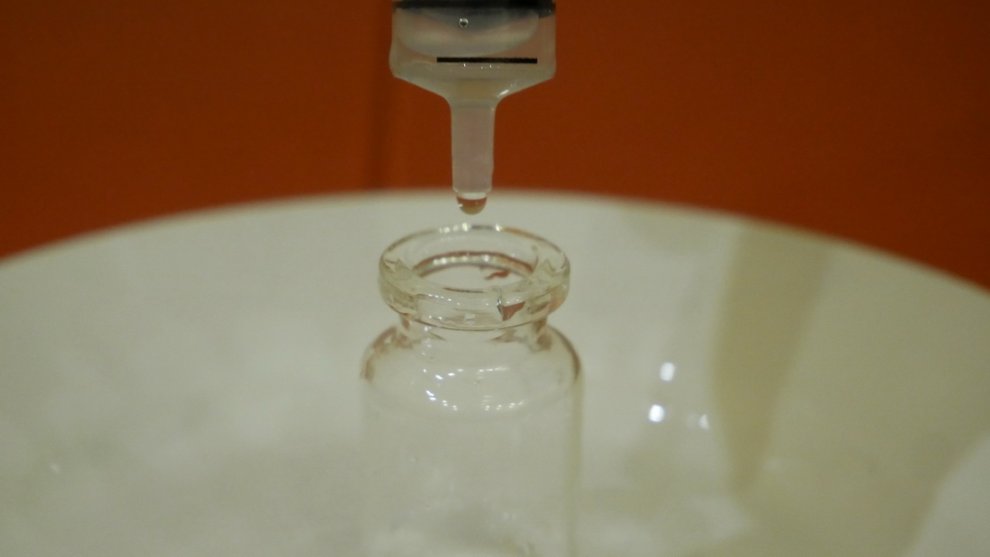 Hydra presence of piracetam in the sample.jpg