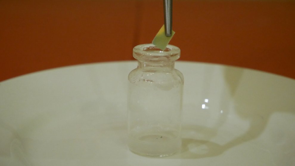 Hydra presence of piracetam in the sample n.jpg