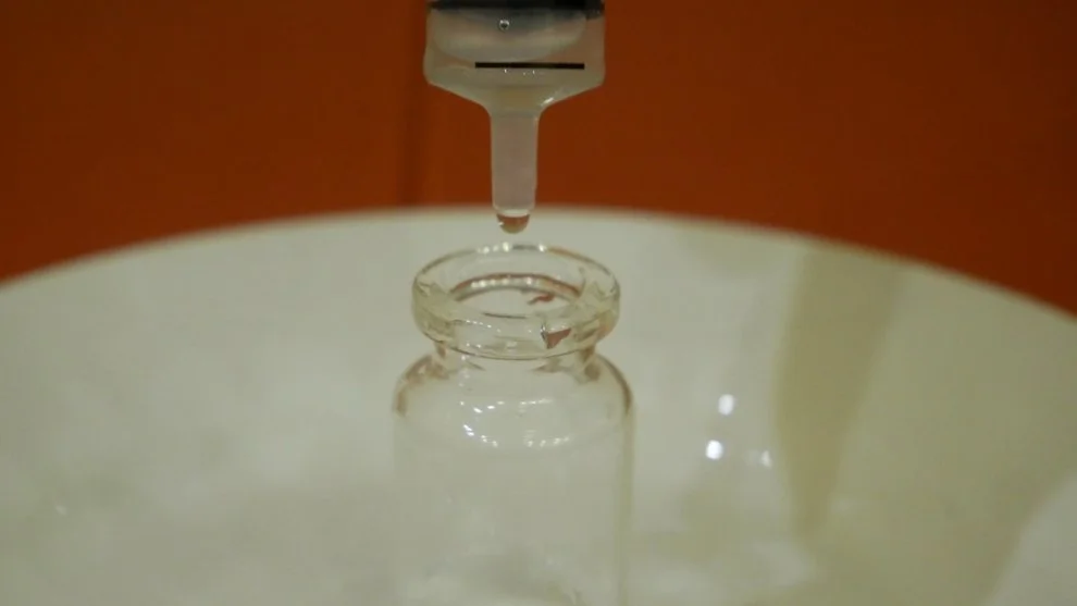 Hydra presence of piracetam in the sample.jpg