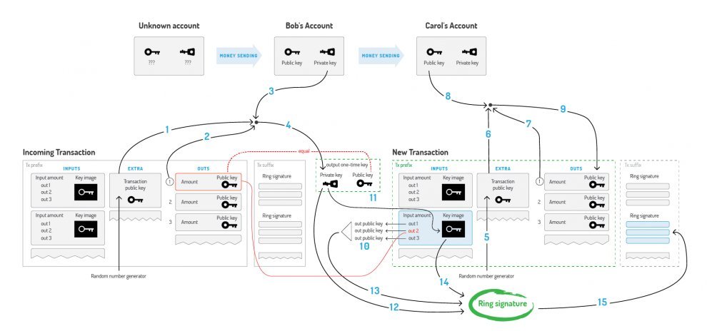 Hydra Proper use of Monero XMR.jpg
