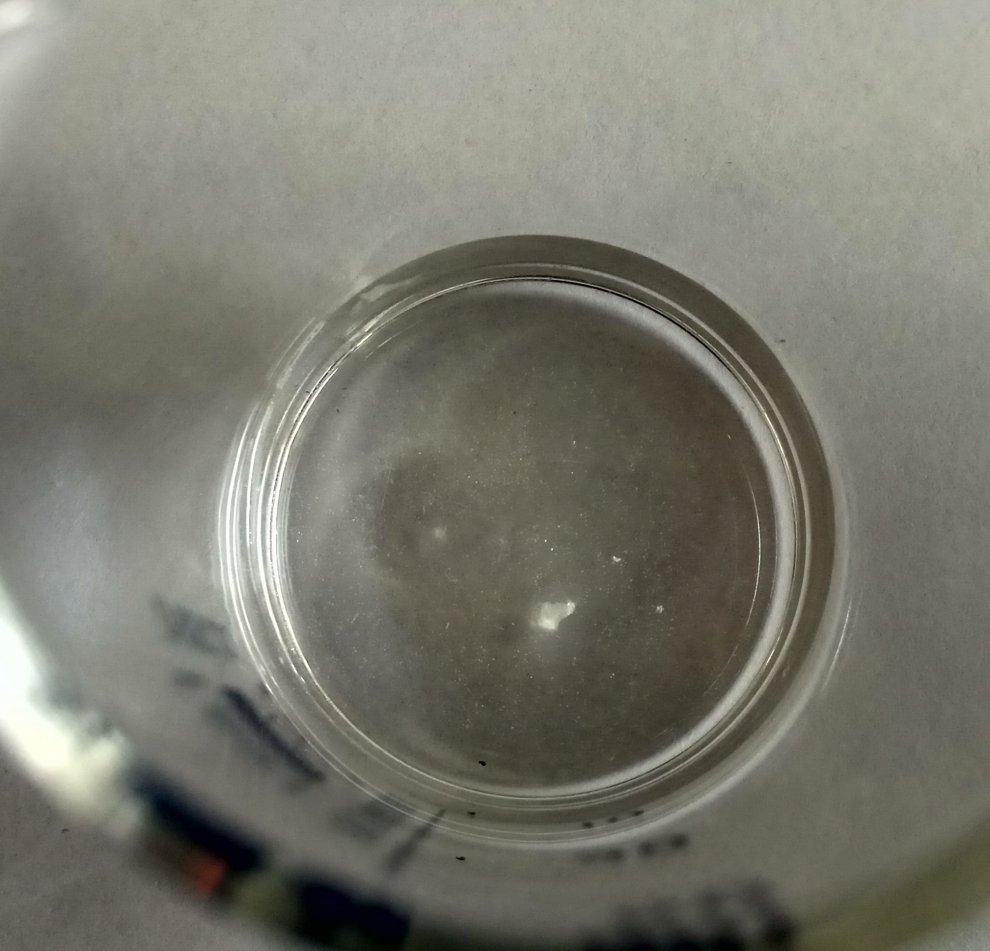 Hydra Qualitative determination of caffeine by Wagner_s reagent 2.jpg