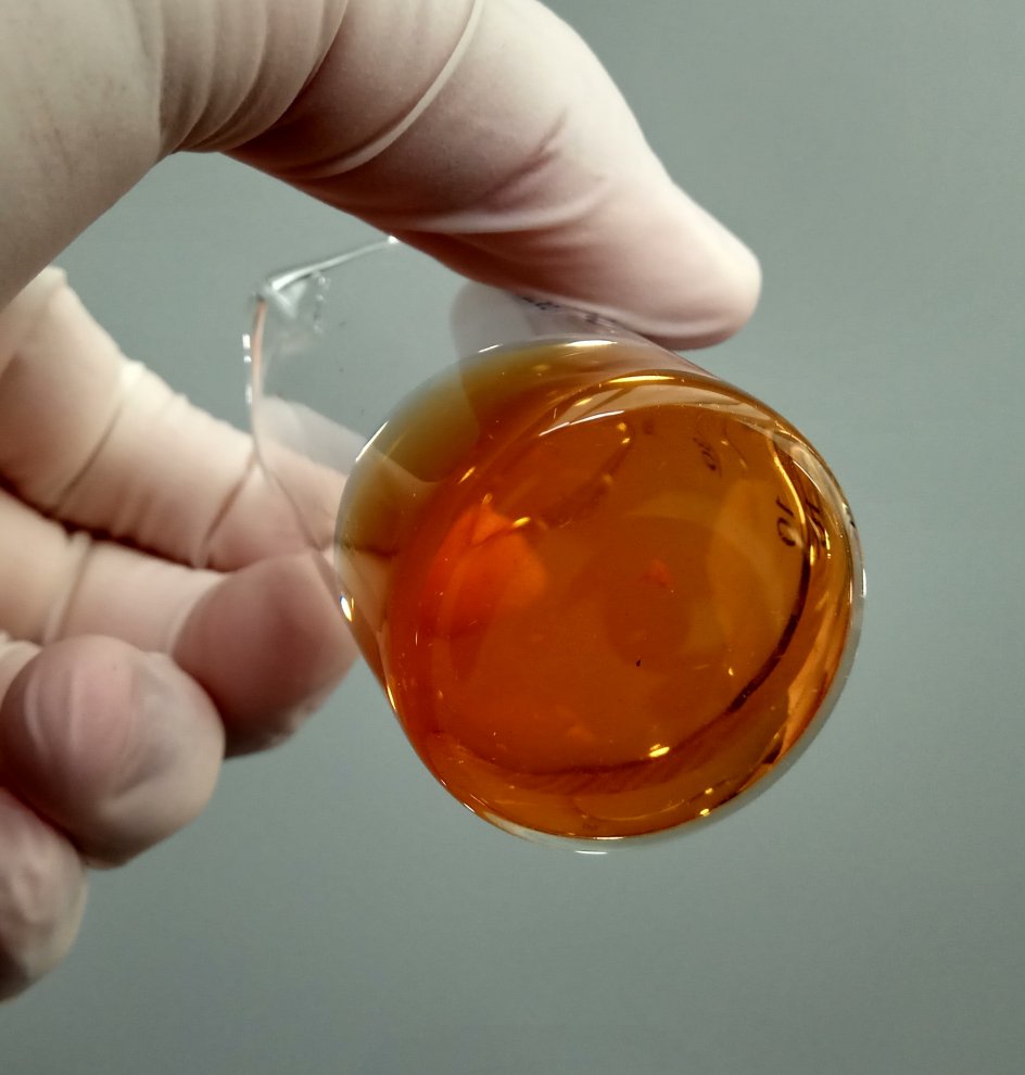 Hydra Qualitative determination of caffeine by Wagner_s reagent 5.jpg