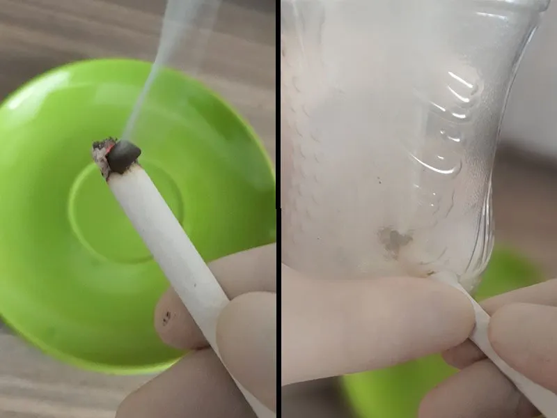 Hydra smoking hashish on a cigarette.webp