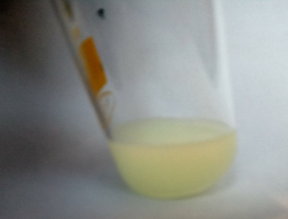 Hydra solution a-PVP test 3.jpg