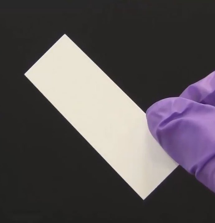 Hydra Thin Layer Chromatography.jpg