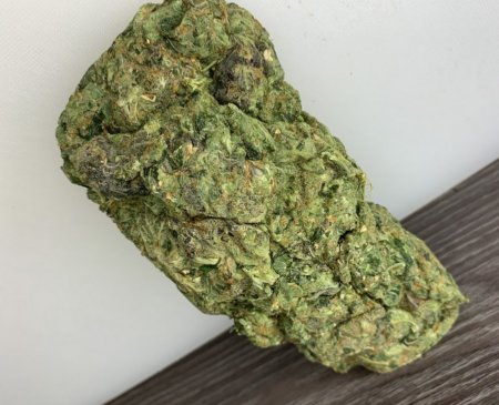 Hydra TSUM Moscow ☘ Гидропоника White Widow.jpg