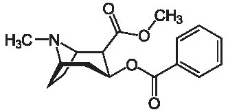 Кокаин Cocaine.webp
