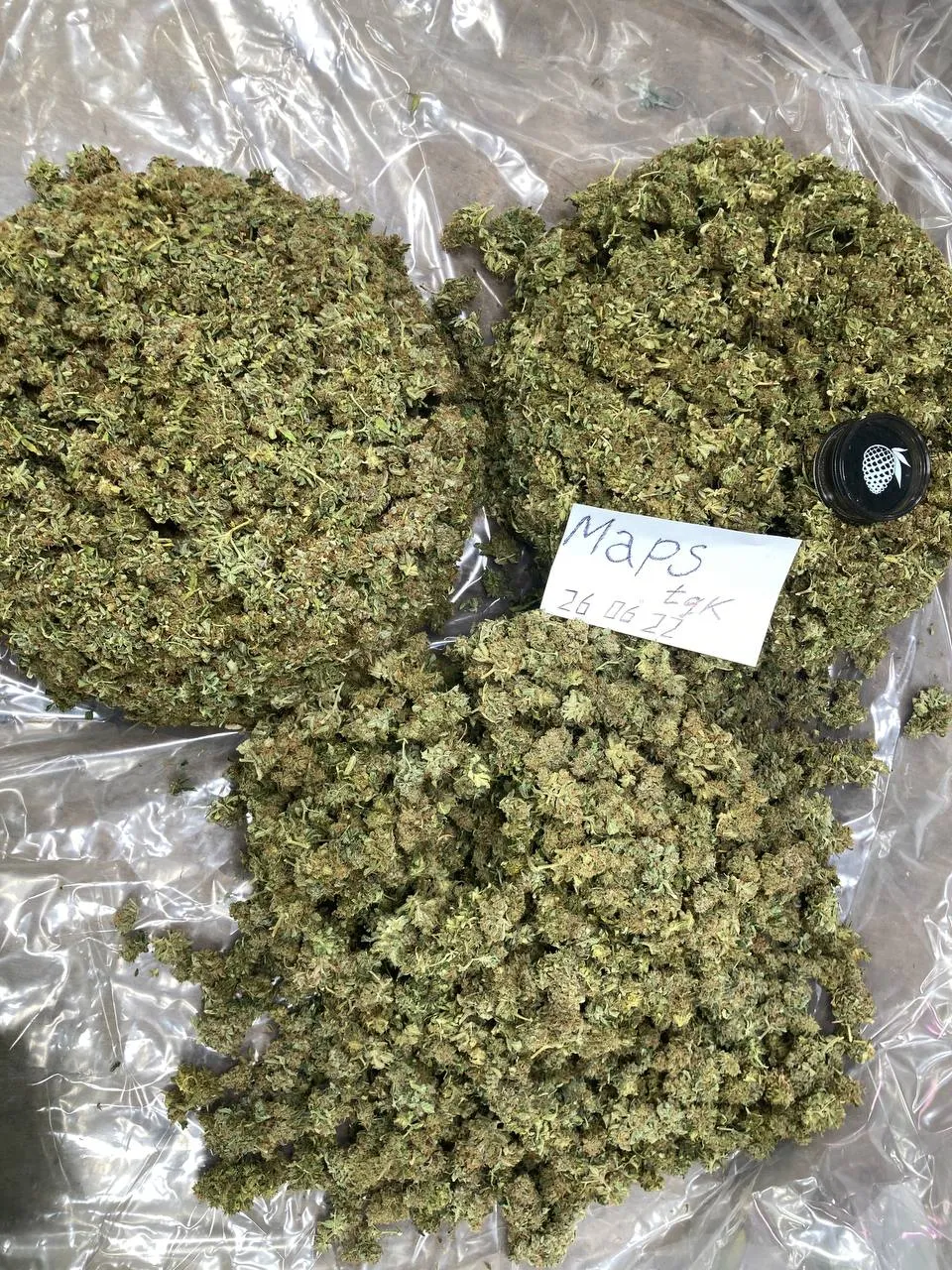 MapsTGK WHOLESALE MapsTGK Hydroponics_2022-06-26_14-07-26.webp