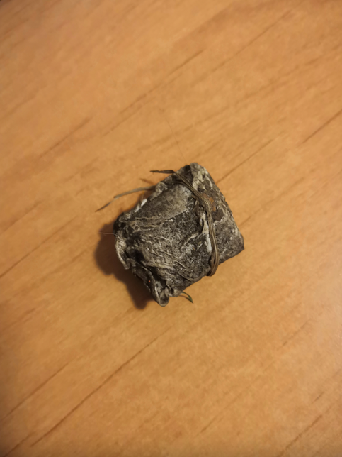 MEGA bookmark in dried sheet.png